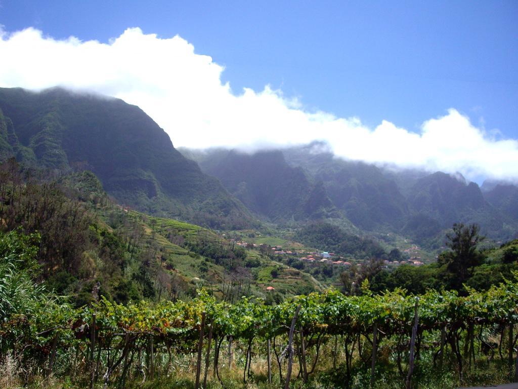 Holidays Madeira Sao Vicente  Phòng bức ảnh